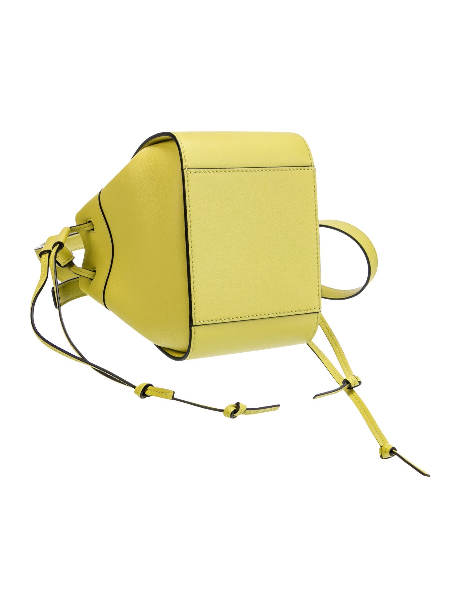 Loewe Calfskin Hammock Mini